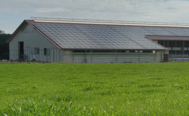 A dairy farm becomes its own energy provider