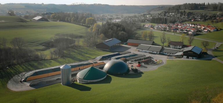 Discover businesses’ real success stories