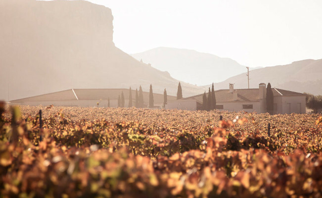 Spanish wine with a small carbon footprint
