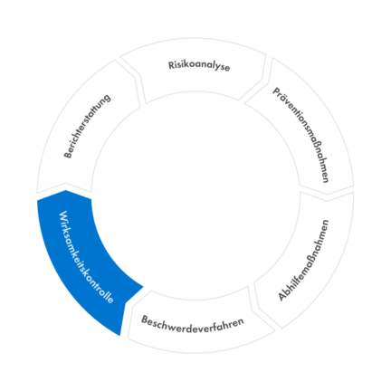 Wirksamkeitskontrolle